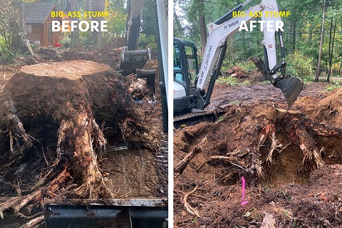 big-ass-stump-before-after