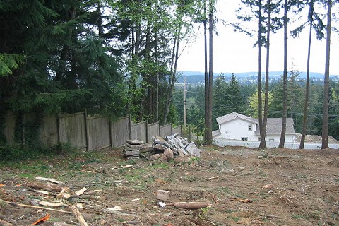 lot-clearing-services-in-nanaimo-01