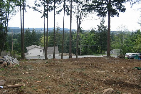 lot-clearing-services-in-nanaimo-02