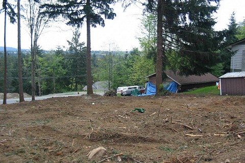 lot-clearing-services-in-nanaimo-03