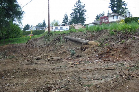 lot-clearing-services-in-nanaimo-05