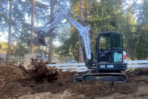 nanaimo-stump-removal