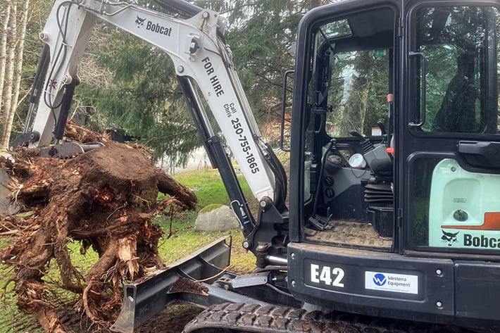 Mini-excavator removing a large stump in Nanaimo, BC